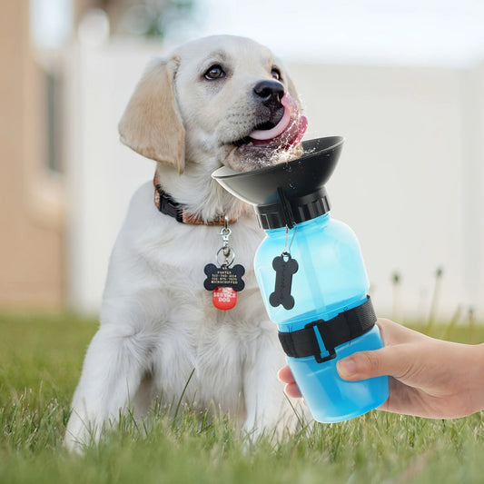 Portable Dog Water Bottle for Travel