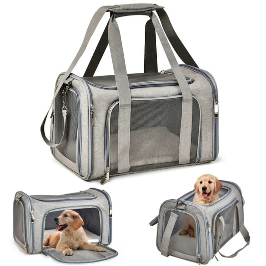 PetTravel Carrier: Comfy & Safe for Pets