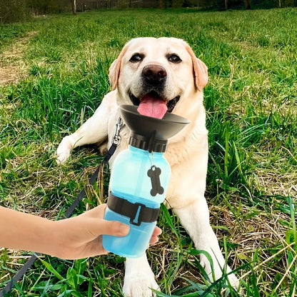 Portable Dog Water Bottle for Travel