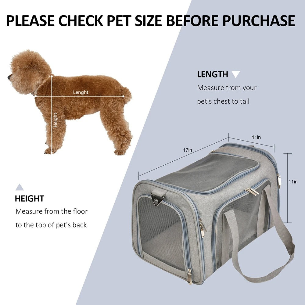 PetTravel Carrier: Comfy & Safe for Pets