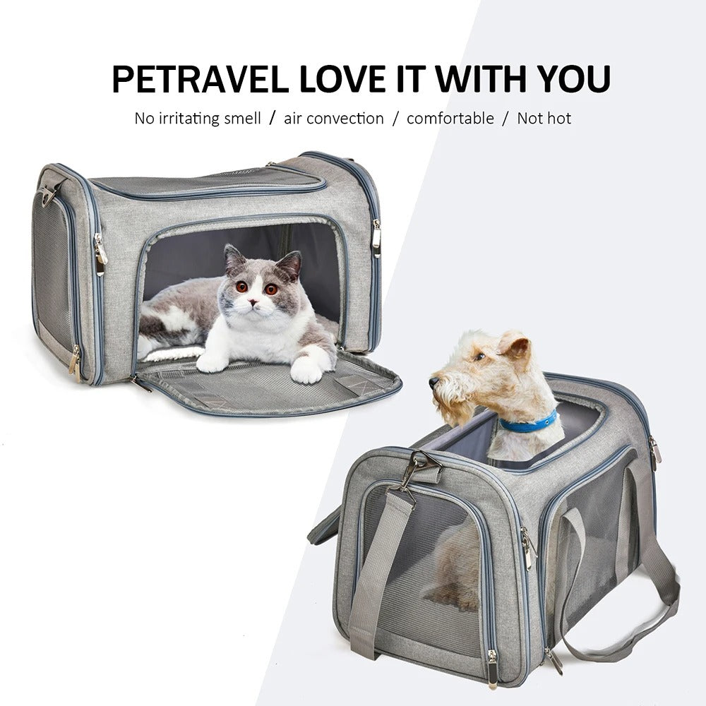 PetTravel Carrier: Comfy & Safe for Pets