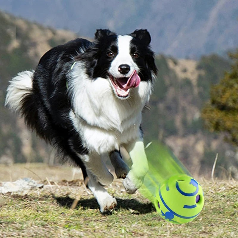 Pet Sound Ball – Fun, Engaging Dog Toy