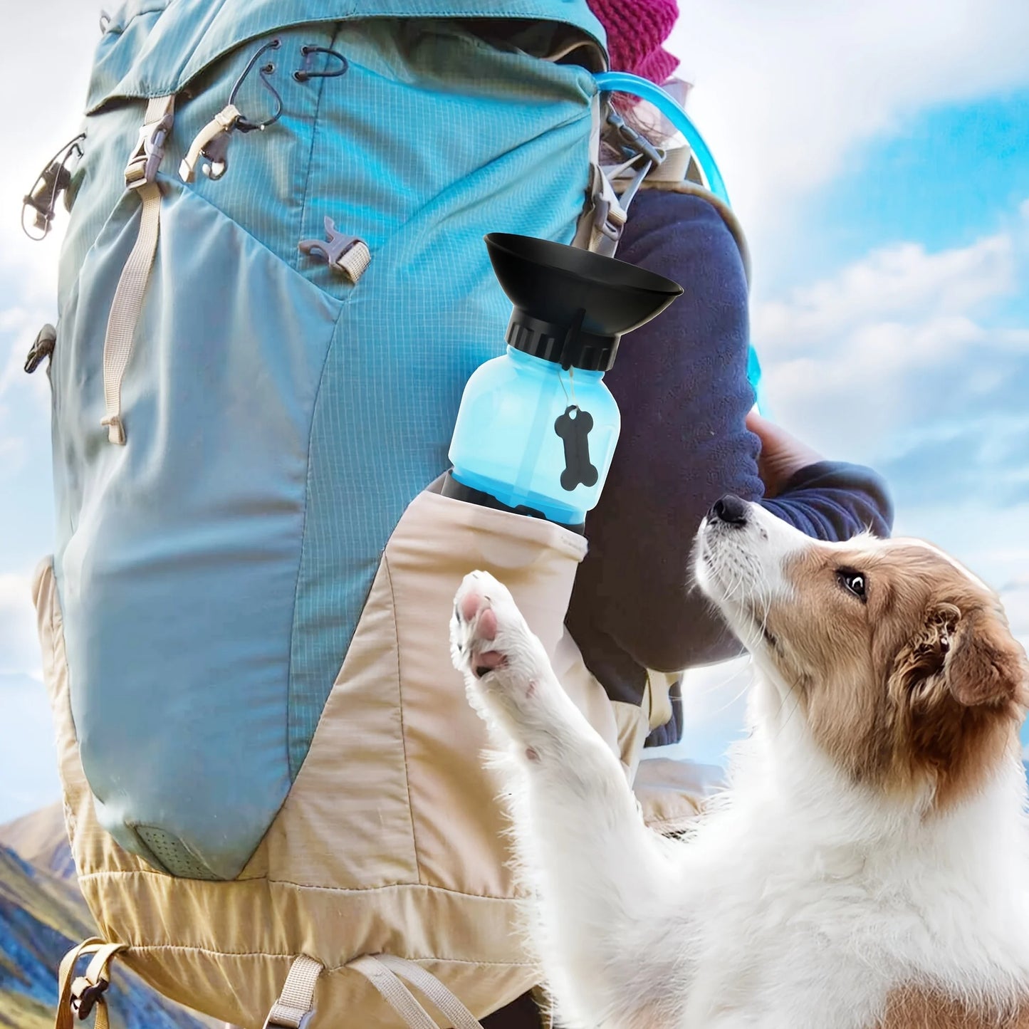 Portable Dog Water Bottle for Travel