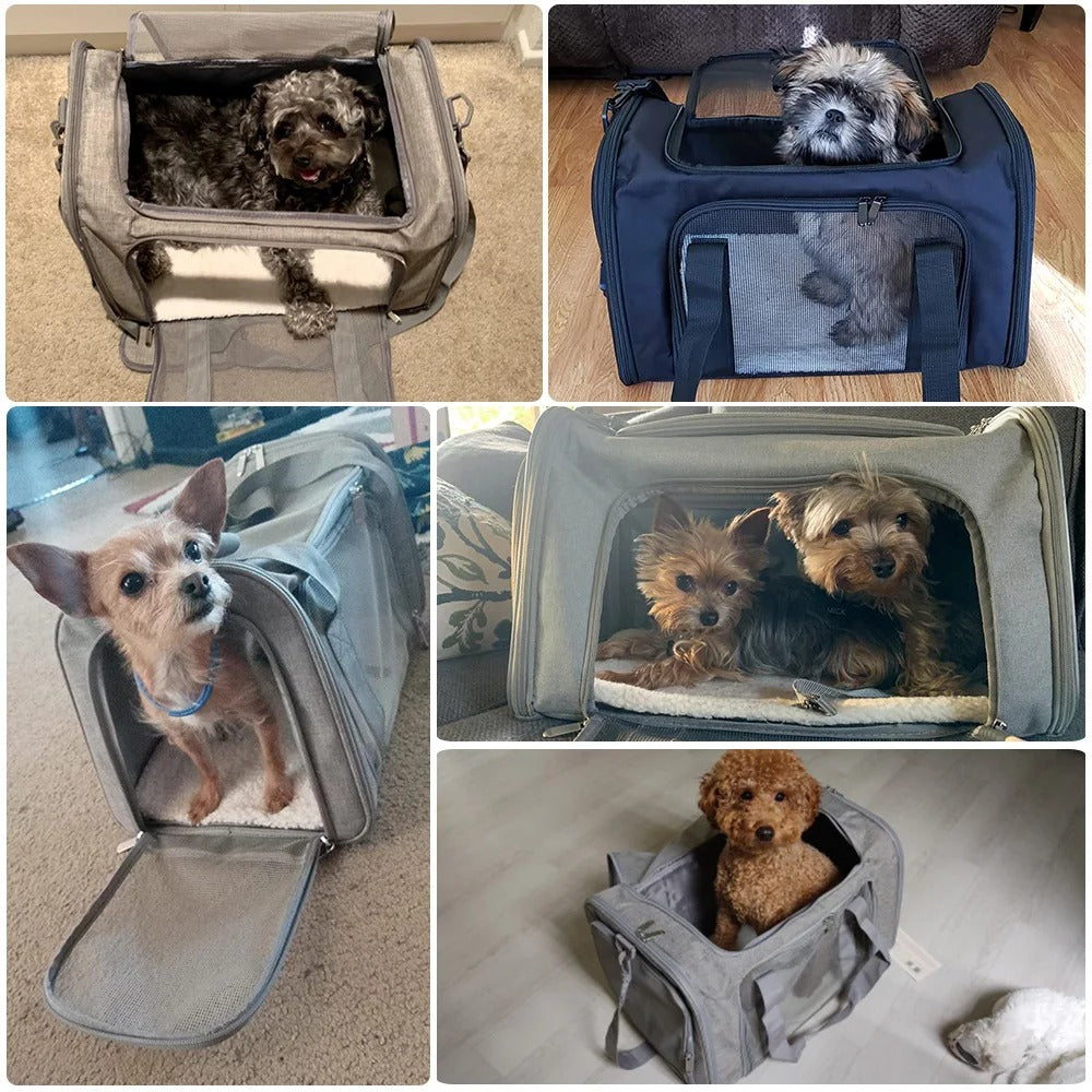 PetTravel Carrier: Comfy & Safe for Pets