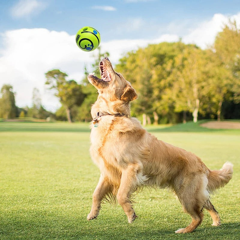 Pet Sound Ball – Fun, Engaging Dog Toy