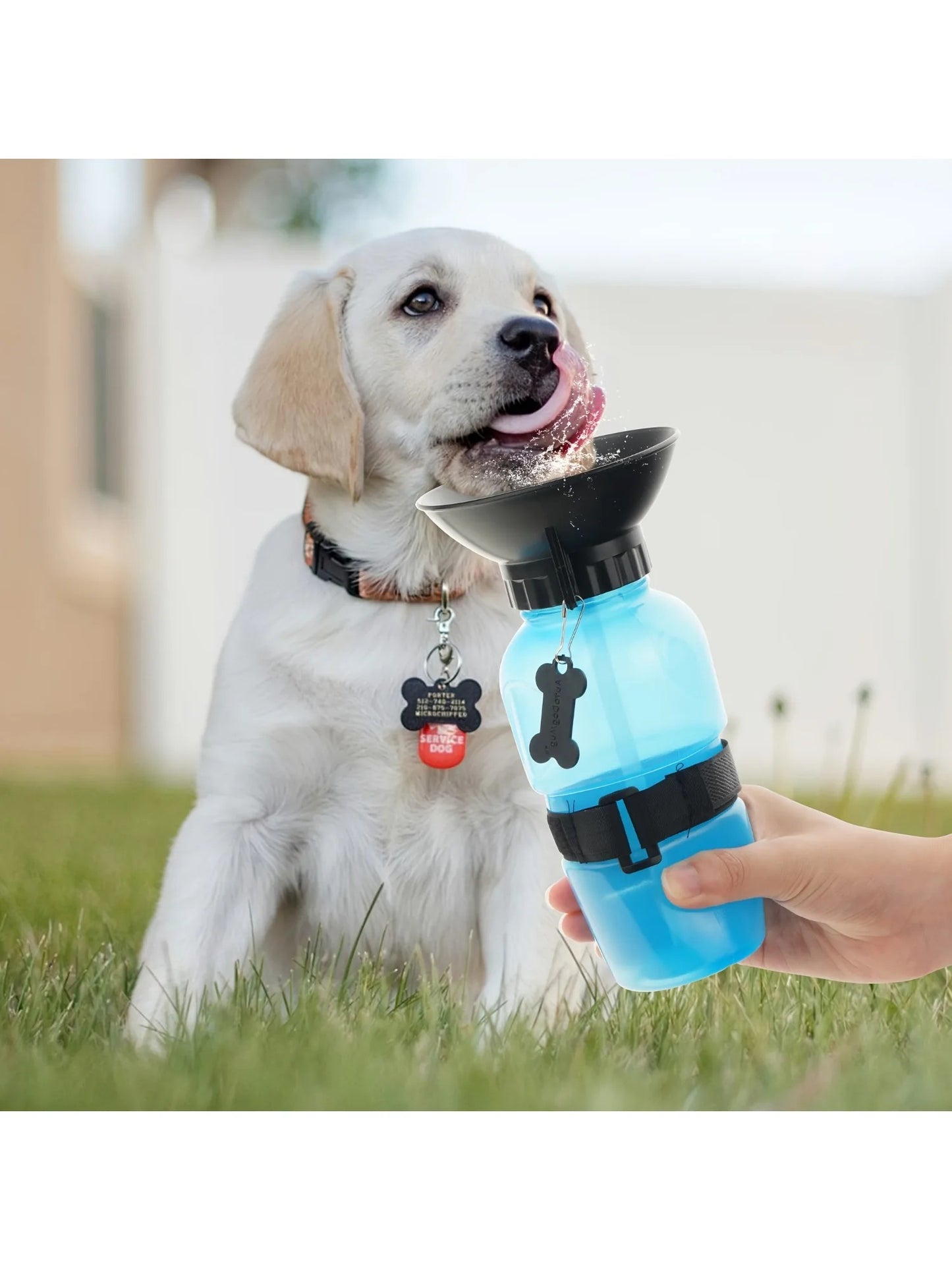 Portable Dog Water Bottle for Travel