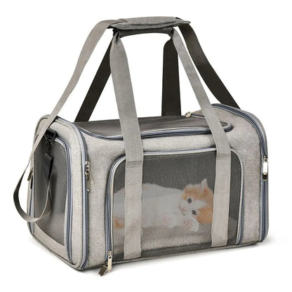 PetTravel Carrier: Comfy & Safe for Pets